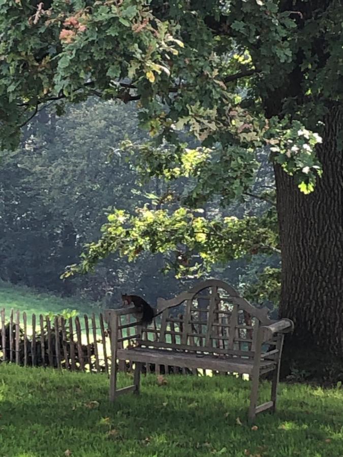 Gartenblick Ляйхлінген Екстер'єр фото