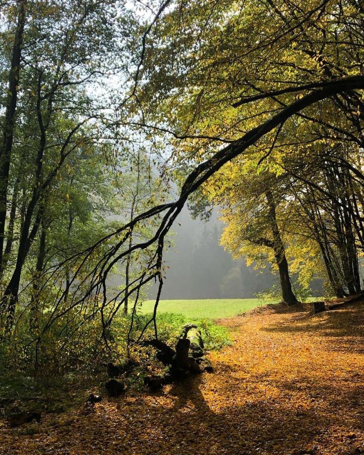 Gartenblick Ляйхлінген Екстер'єр фото